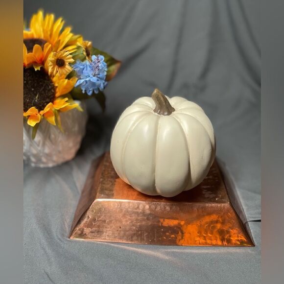 5” NEW! Creamy White Pumpkin Table Decor Fall Harvest Autumn Thanksgiving - Picture 7 of 8